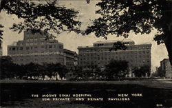 The Mount Sinai Hospital, semi-private and private pavilions Postcard