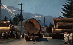 Logging in the Northwest Postcard