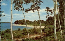 View of Beach and Lake Shore Postcard