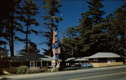 Forest Lake Motel & Restaurant, 1215 N.W. 4th St Postcard