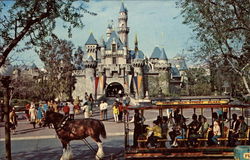 Sleeping Beauty Castle - Fantasyland Anaheim, CA Disney Postcard Postcard