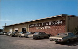 Orange Blossom Groves Postcard