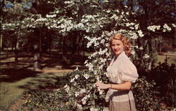 Woman Before a Dogwood Tree Postcard