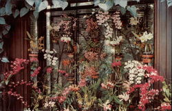 Longwood Gardens Kennett Square, PA Postcard Postcard