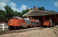 The Jacksonville Zoo Railroad Florida Postcard Postcard