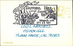 Daffodil Hill Station Postcard