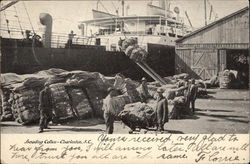 Loading Cotton Postcard