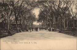 The Mall, Central Park Postcard