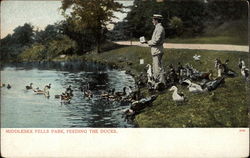 Middlesex Fells Park, Feeding the Ducks Medford, MA Postcard Postcard