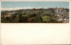 Boston Common Postcard