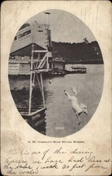 King, JW Gorman's High Diving Horses Postcard