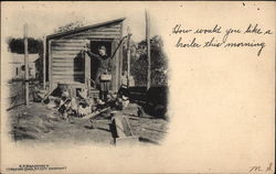 Woman Feeding Chickens Postcard