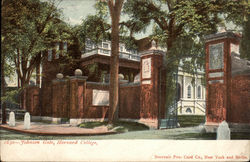 Johnson Gate, Harvard College Postcard