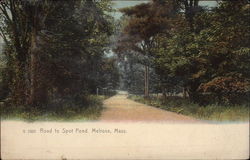 Road to Spot Pond Postcard