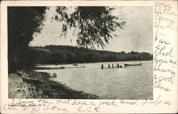 Lamb's Grove Postcard