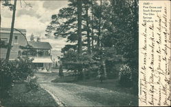 Pine Grove and South Entrance, The Glen Springs Postcard