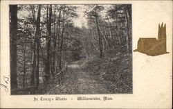 In Torrey's Woods Postcard