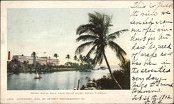 Hotel royal Palm from Miami River Florida Postcard Postcard