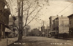 Main St Newaygo, MI Postcard Postcard