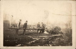 Cutting Timber Postcard