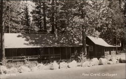 Pine Crest Cottages Postcard