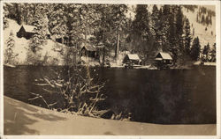 Fallen Leaf Lake and Shore Line in winter Postcard