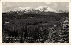 Mt. Lassen from Horse Shoe Lake Postcard