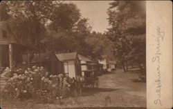 Sulphur Springs Cottages Michigan Postcard Postcard