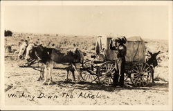 Washing Down the Alkaline Cowboy Western Postcard Postcard