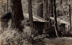 Cabins at Siskiyou Camp Redwood Highway, CA Postcard Postcard