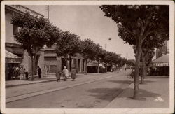 Avenue de France Ferryville, Tunisia Africa Postcard Postcard