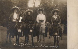 Women on burros at Cheyenne Canon (Park), Colo., 1909 Postcard