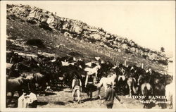 Eaton's Ranch Postcard