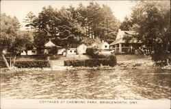 Cottages at Chemong Park Bridgenorth, ON Canada Ontario Postcard Postcard