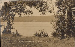 View Over Lake Dunmore Postcard