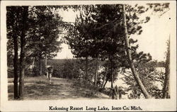 Kokosing Resort Long Lake, MI Postcard Postcard