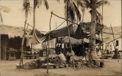 In the Shade of the Cocoanut Palms San Jose de Guatemala, Guatemala Central America Postcard Postcard