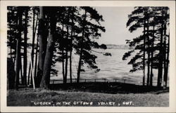 Ottawa Valley View CObden, ON Canada Ontario Postcard Postcard