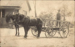 Man Standing in Wagon with Horses Postcard