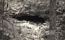 Entrance to Wolf Cave, McCormack Creek State Park Postcard