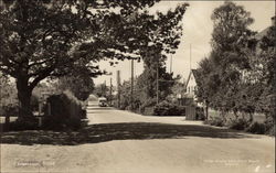 Street Through Town Postcard