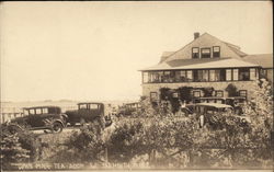 Wind Mill Tea Room West Yarmouth, MA Postcard Postcard