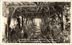 Grape Arbor Leading to Wishing Well, Ramona's Marriage Place Postcard