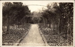 Flower Garden in Pt. Defiance Park Postcard