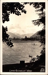 View of Lake Quinault Postcard