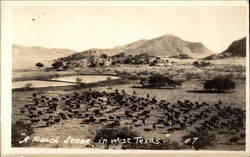 A Ranch Scene in West Texas Postcard Postcard