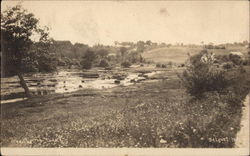 Pond in the Field Postcard