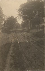 Dirt Road Leading into Wooded Area Postcard