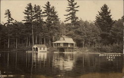 Brantingham Lake View With Trees and Cottage Greig, NY Postcard Postcard