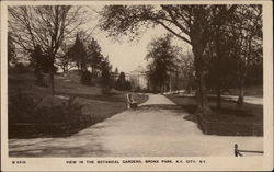 View in the Botanical Gardens, Bronx Park Postcard